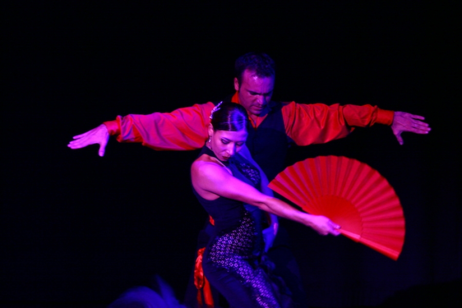 The Flamenco Show