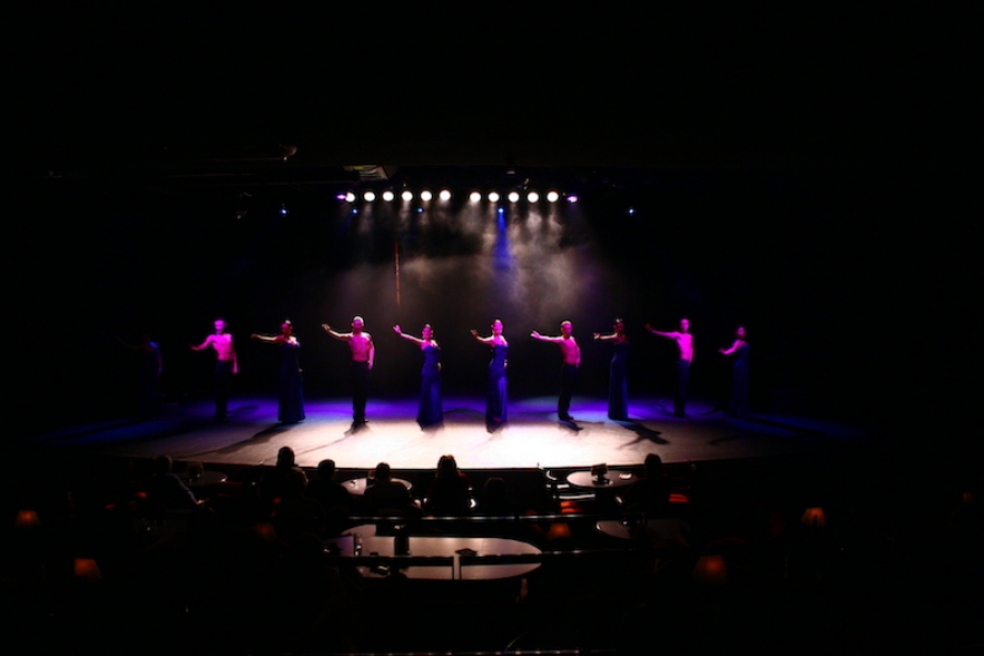 The Flamenco Show
