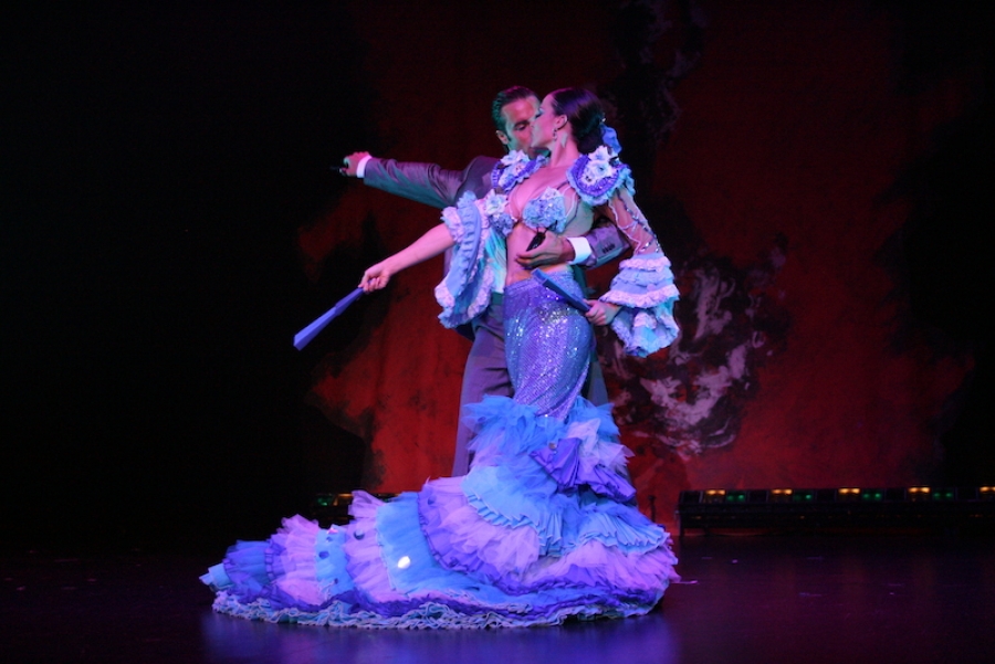 The Flamenco Show